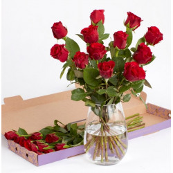 Dozen Red Rose Letterbox