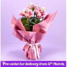 The Mother's Day Oriental Lily