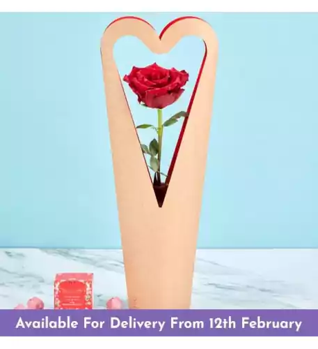 Red Panther Rose Gift Set Red Panther Rose Gift Set