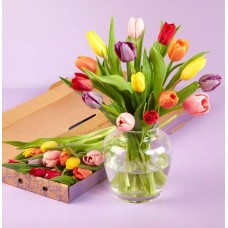 The Mother's Day Tulip Medley Letterbox