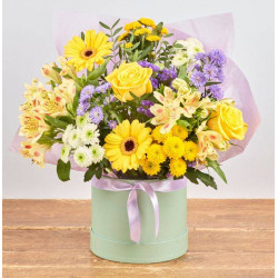 Beautiful Spring Green Hatbox Beautiful Spring Green Hatbox