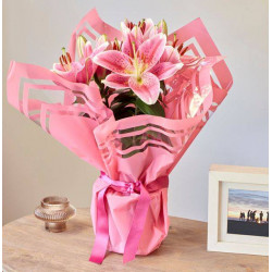 Gift Wrapped Oriental Lily