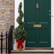 Festive Wrapped Buxus Spiral Topiary Outdoor Tree Gift 2-3ft