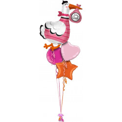 Baby Girl Stork Shape