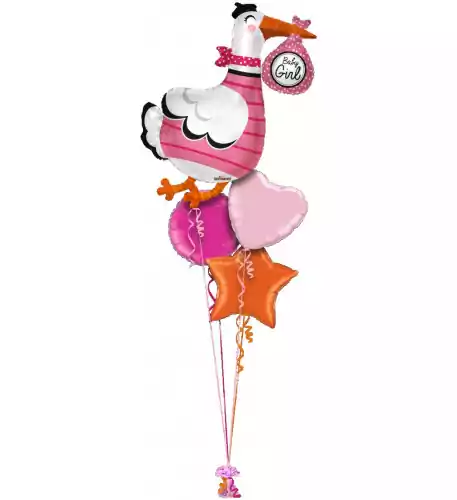 Baby Girl Stork Shape