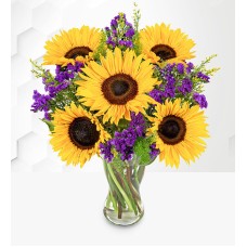 Sunflower Splendor (Standard)