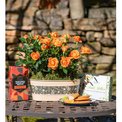 Orange Rose Gift