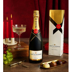 Moet & Chandon Champagne