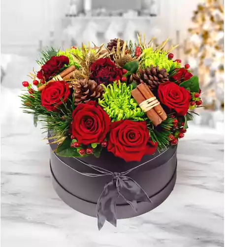 Festive Elegance