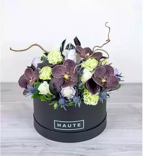 Noir Garden
