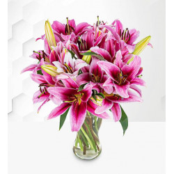 Stargazer Lilies (Standard) Stargazer Lilies (Standard)