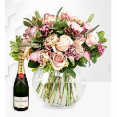 Orion & Moet (Standard)