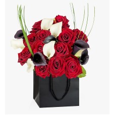 Scarlet Noir (Standard)