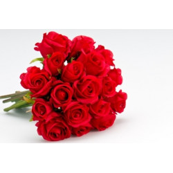 18 Red Roses