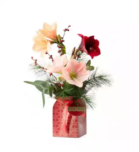  Bouquet Christmas Gift