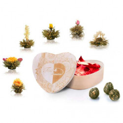 6 tea balls and their heart-shaped box