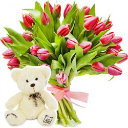 21 red tulips with a teddy bear