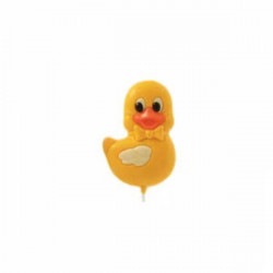 Bon Bon Dillon Duck