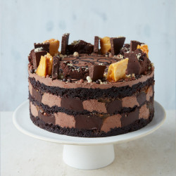 Chocolate Squidge Cake (Small (6