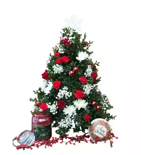 Tabletop Boxwood Tree (Deluxe)
