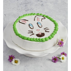 Carvel Easter Bunny Ice Cream Cake