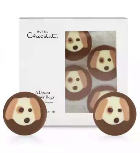 A Dozen Chocolate Dapper Dogs