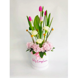  TULI001-TULIPS