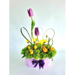  TULI002-TULIPS