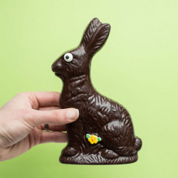 Dark Chocolate Half-Pound Premium Chocolate Easter Bunny