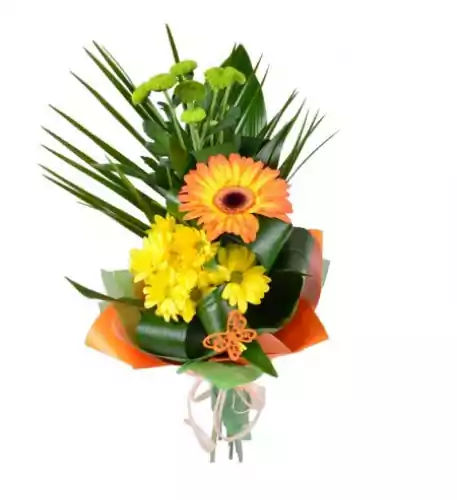 Bouquet of one gerbera and chrysanthemums Bouquet of one gerbera and chrysanthemums