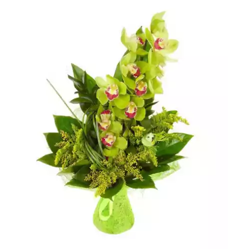 Bouquet of Orchid and Greenery Bouquet of Orchid and Greenery