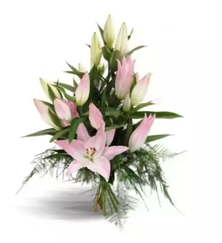 Bouquet - Tender fascination