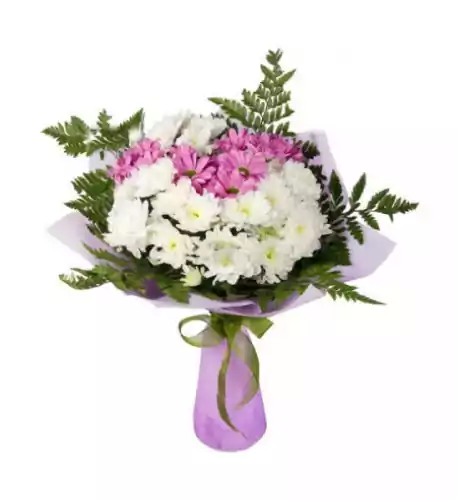 Bouquet of White and Pink Chrysanthemums Bouquet of White and Pink Chrysanthemums