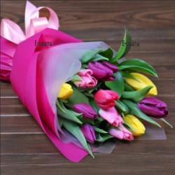 11 colourful tulips