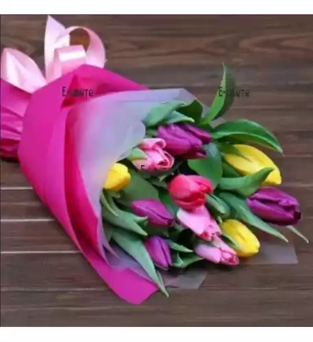 11 colourful tulips 11 colourful tulips