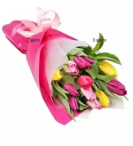 11 flower tulips