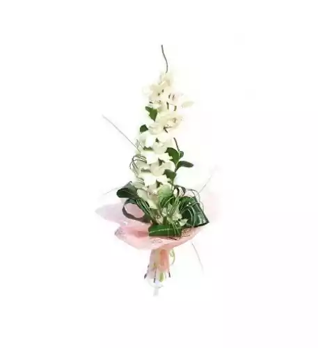 Bouquet of White Cymbidium Orchid Bouquet of White Cymbidium Orchid