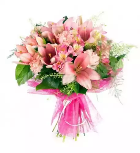 Bouquet of lilies and carnations Bouquet of lilies and carnations