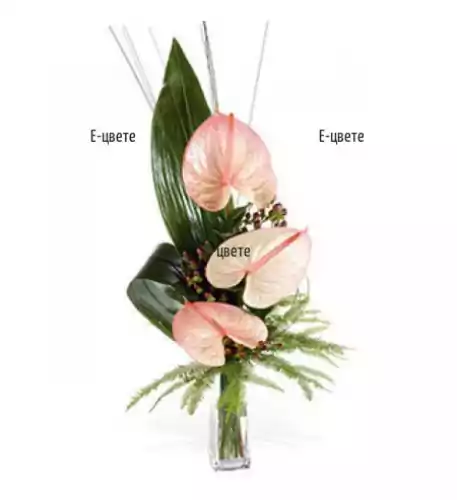 Bouquet Of Anthuriums Bouquet Of Anthuriums