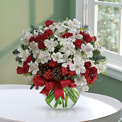 Let it Snow by Teleflora