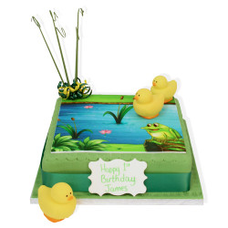 Duck Pond Birthday Cake