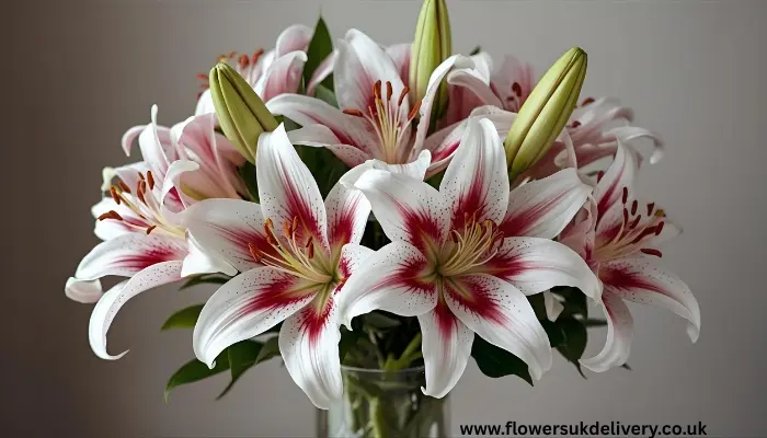 send Anniversary flowers