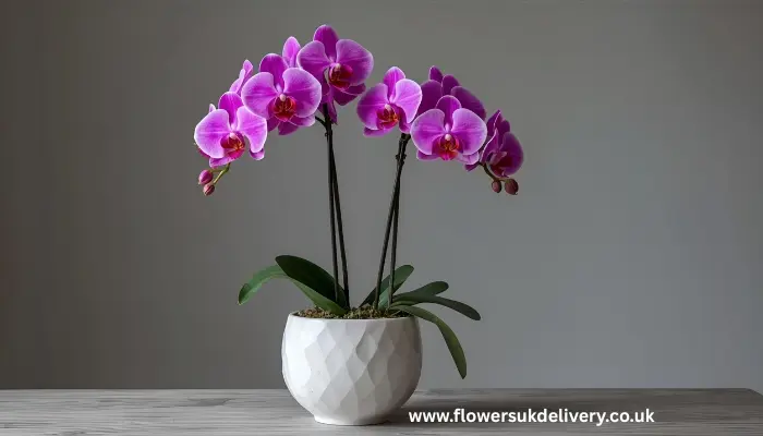 send Anniversary flowers