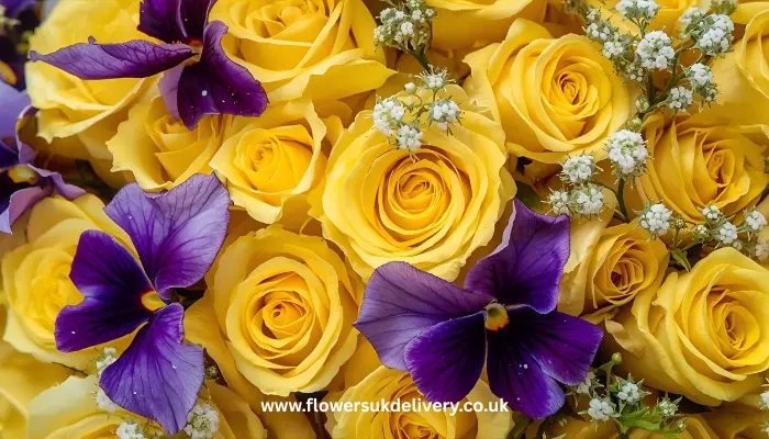 send Anniversary Flowers
