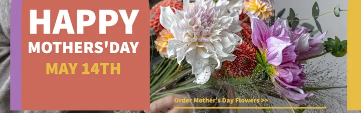 Fresh flowers delivered across the UK