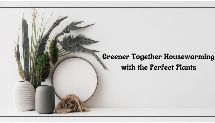 Greener Together: Housewarming with the Perfect Plants