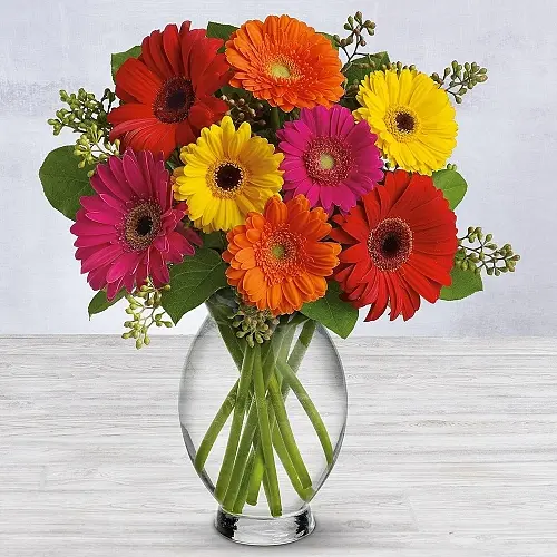 Gerbera Brights Bouquet