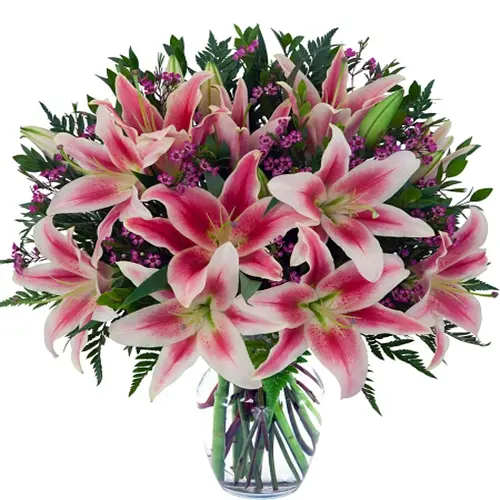Spirited Lilies