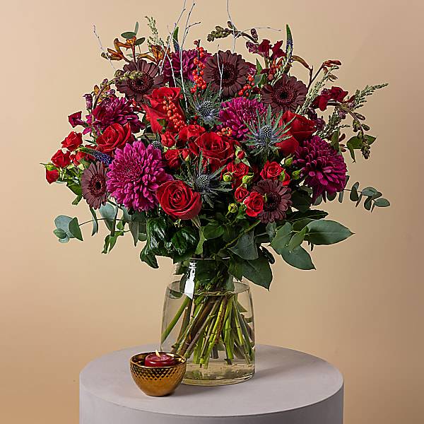 Plum Elegance