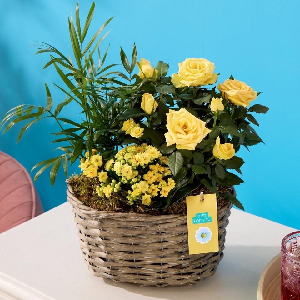 Cheerful Mixed Basket